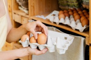 Commercialisation des œufs : précisions pour le marché français